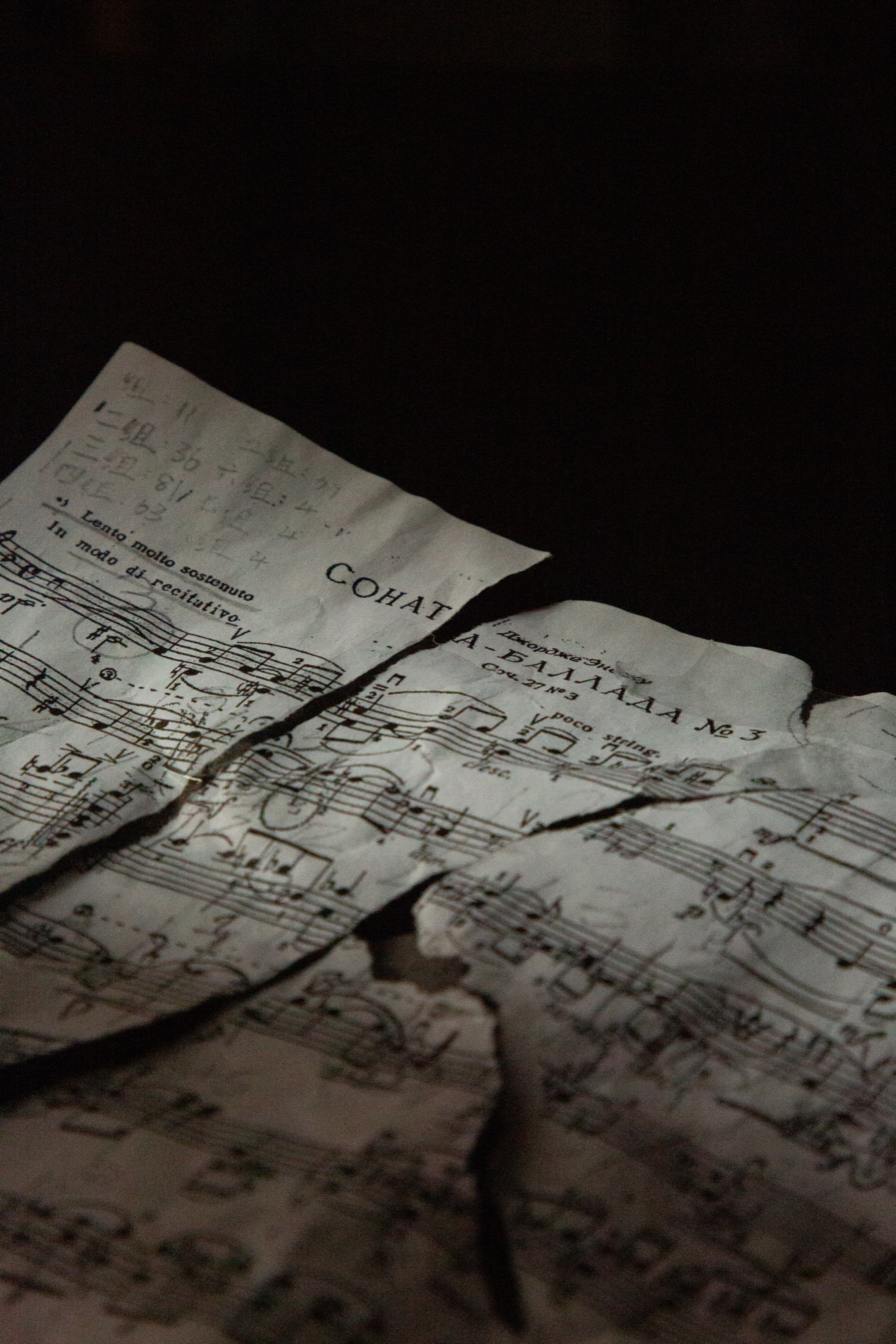 Objects II. The dream she held on to was like torn sheet music taped back together, straining, enduring.